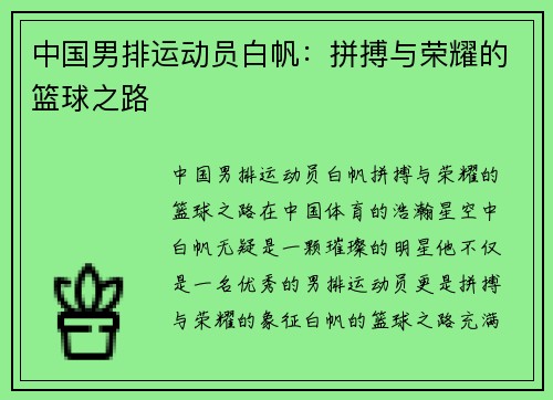 中国男排运动员白帆：拼搏与荣耀的篮球之路